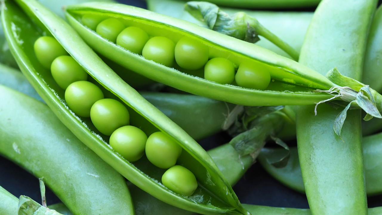 Smashed Peas and Beans Saturday AM