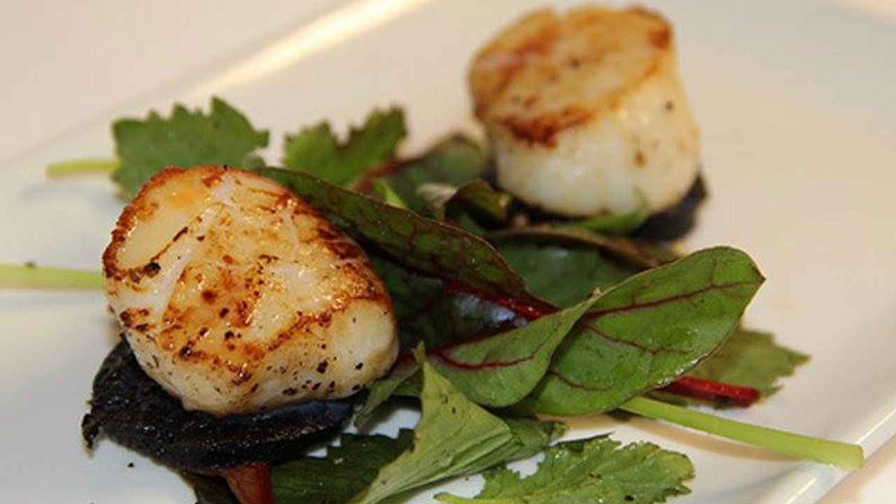 Seared King Scallops with Black Pudding, Cauliflower Almond Puree