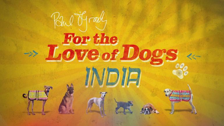 Paul O'Grady: For the Love of Indian Dogs