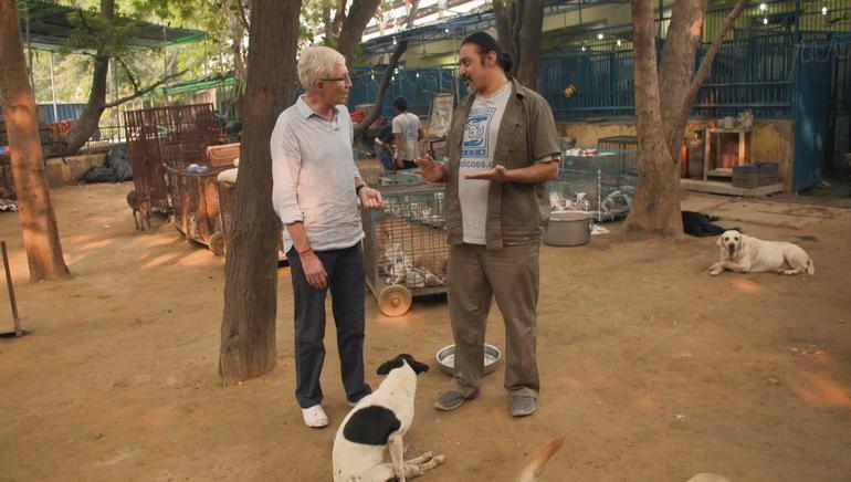 Paul O'Grady: For the Love of Indian Dogs