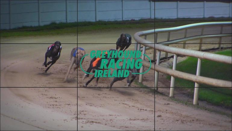 Greyhound Racing
