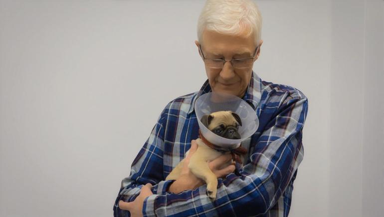 Paul O'Grady: For the Love of Dogs