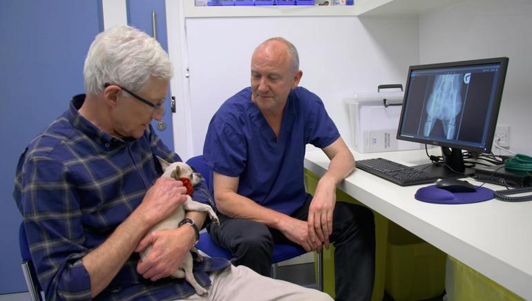 Paul O'Grady: For the Love of Dogs